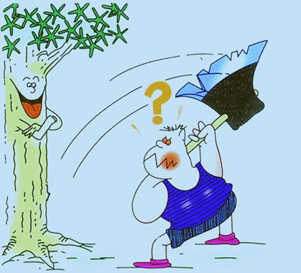 磨刀不誤砍柴工